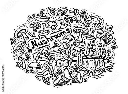 Vector illustration. A set of simple doodle mushrooms of different types (honey agarics, toadstools, porcini mushrooms, chanterelles). Coloring book for children theme of autumn.