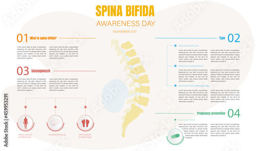 Infographics for the international day of spina bifida,what is spina bifida,types of spina bifida,consequences and prevention in pregnancy.