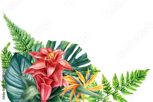 Greeting card, tropical plants, palm leaves and flowers in watercolor, botanical painting guzmania, strelitzia