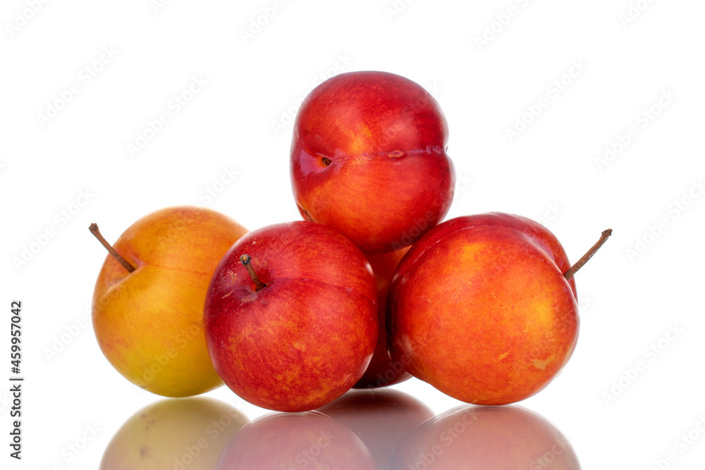 Obraz premium Several juicy organic yellow-red plums , close-up, isolated on white.