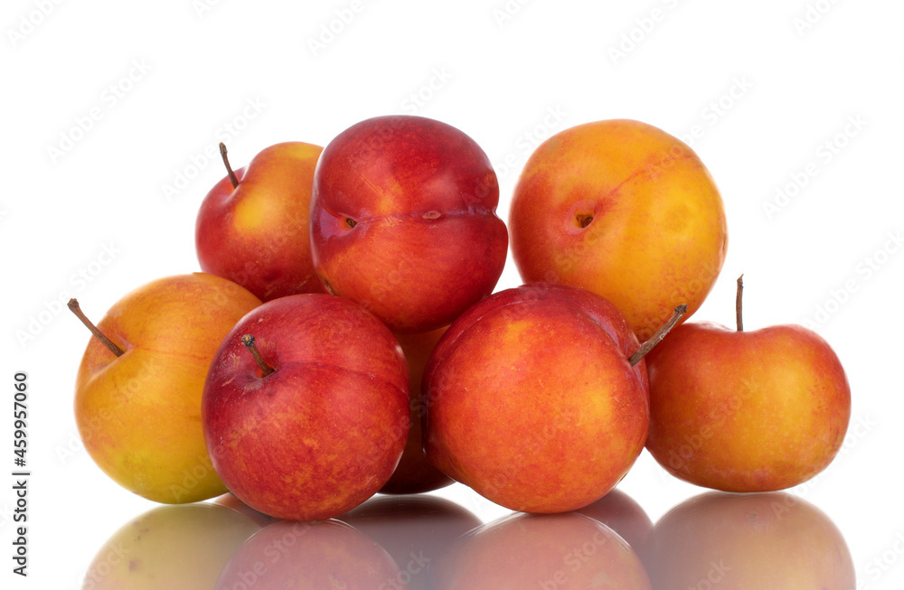 Several juicy organic yellow-red plums , close-up, isolated on white. Several juicy organic yellow-red plums , close-up, isolated on white.