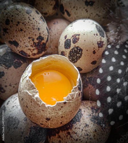 Quail eggs are a delicious diet food