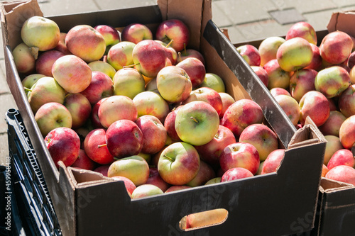 Many red ripe apples in cardboard boxes on the market. Close-up. Collection and sale of apples.