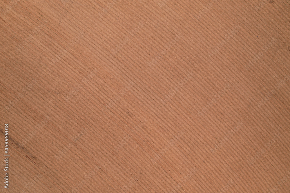 newly planted cane field seen from above - drone view newly planted cane field seen from above - drone view