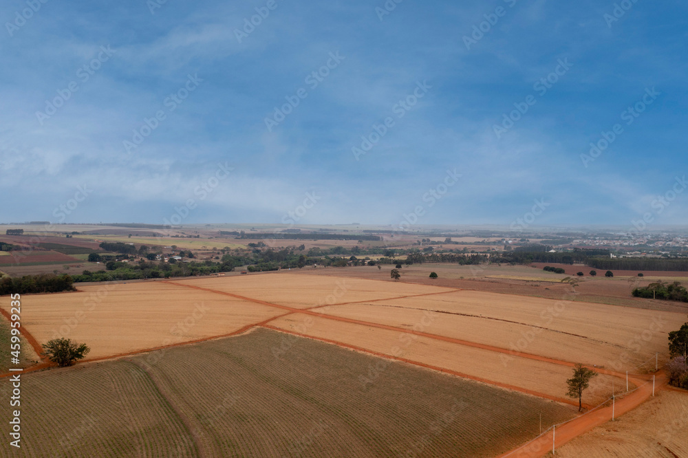newly planted cane fields viewed from above - drone view