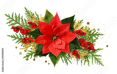 Red Christmas poinsettia fl...