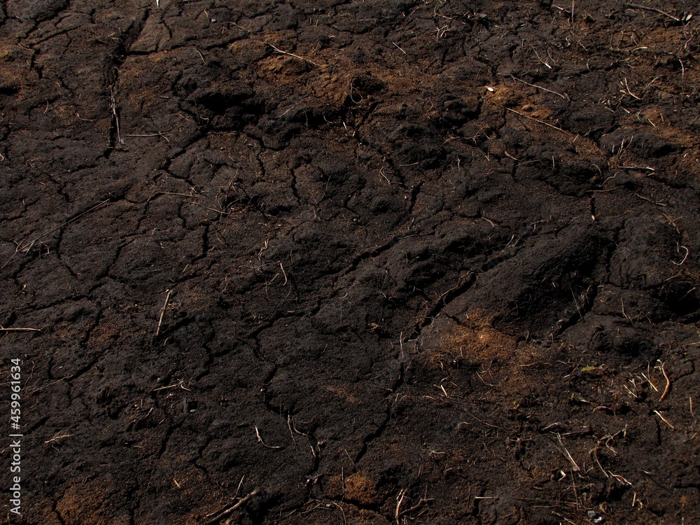 Soil Soil
