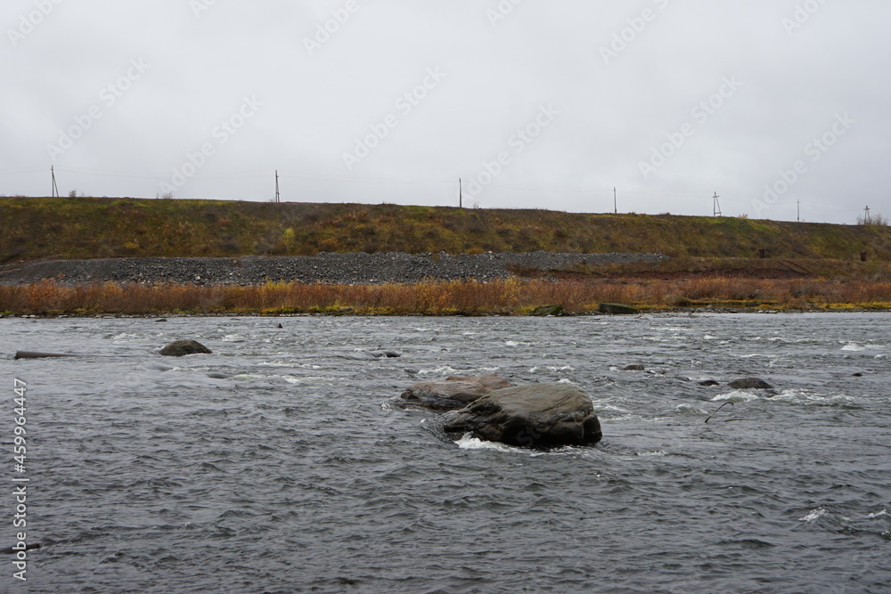 Fototapeta premium ducks on the river
