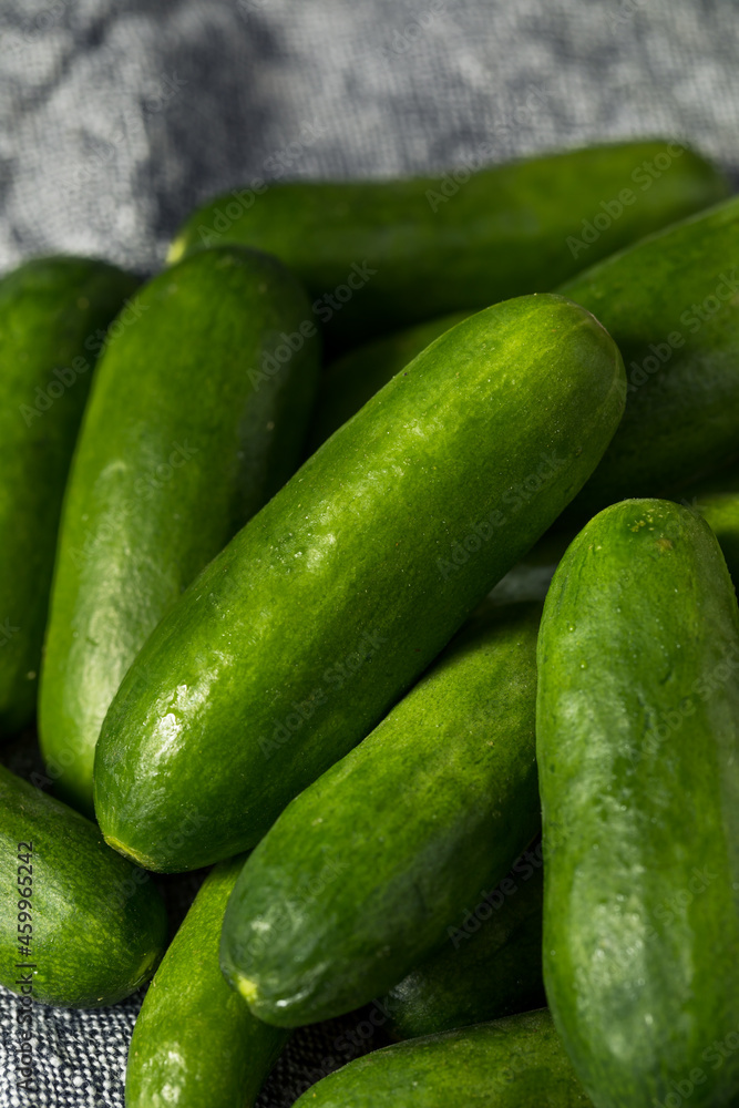 Raw Green Organic Mini Cucumbers Raw Green Organic Mini Cucumbers