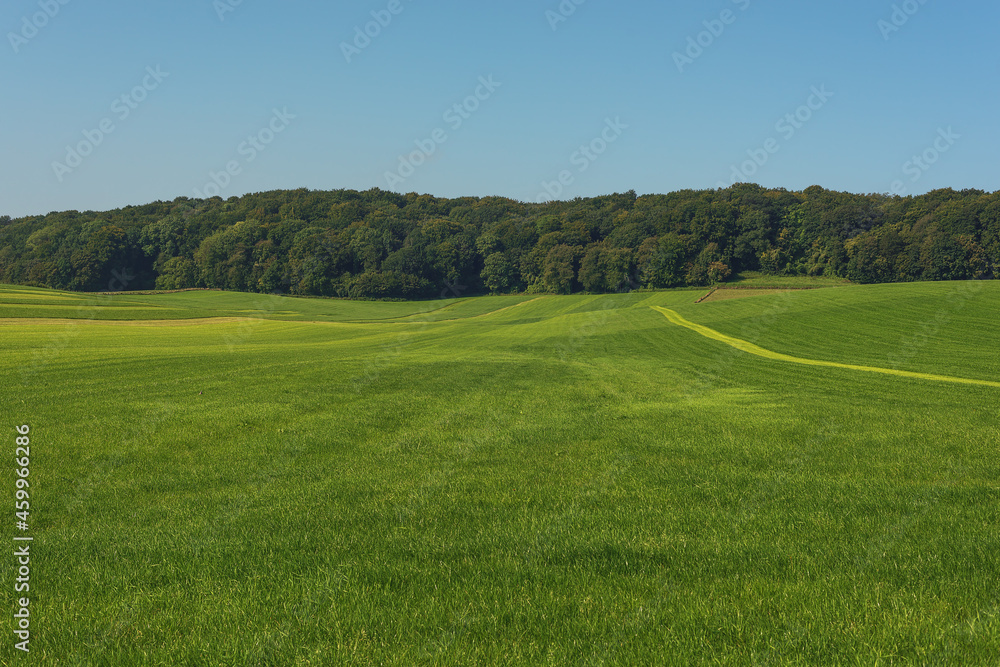 Freshly mown meadow with mowing marks in a sunny hilly landscape under a clear blue sky. Freshly mown meadow with mowing marks in a sunny hilly landscape under a clear blue sky.