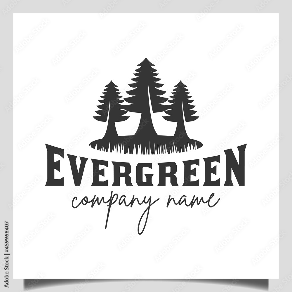silhouette pine evergreen or conifer cedar coniferous cypress larch, pine tree forest vintage retro Logo design vector template