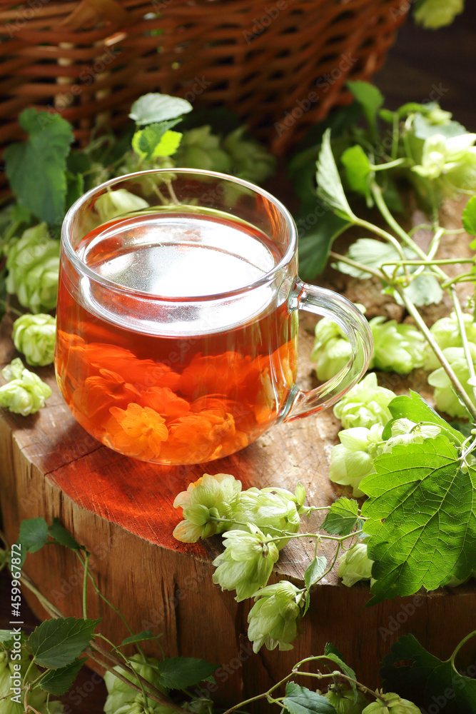 Hop herbal tea with fresh herb on wood, natural decoction is used against insomnia, depression and for menopause and skin, hair care, closeup, copy space, natural medicine, naturopathy concept Hop herbal tea with fresh herb on wood, natural decoction is used against insomnia, depression and for menopause and skin, hair care, closeup, copy space, natural medicine, naturopathy concept