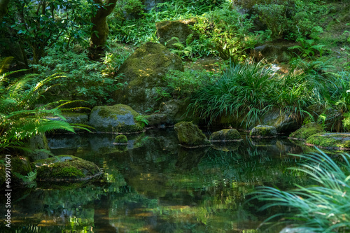 Japanese Garden Rocks Waterfall Pond Landscape