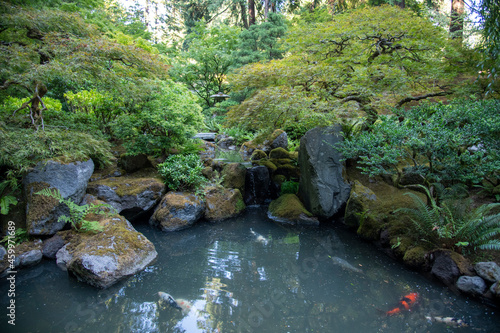 Japanese Garden Rocks Waterfall Pond Landscape