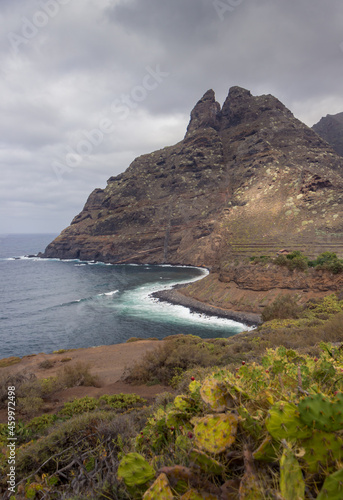 large mountain by the sea and a cactus at the base of the photo under the cloudy sky