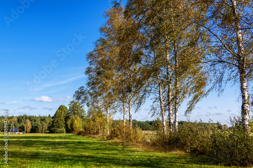 Jesień na Podlasiu, Polska