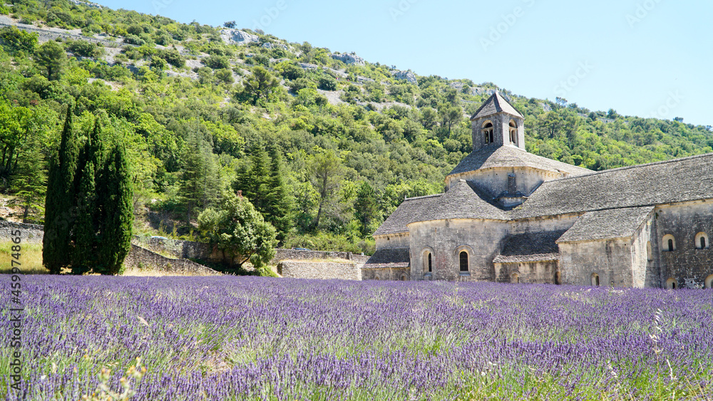 Abbaye Notre-Dame de Sénanque
and lavender fields in Gordes, France.