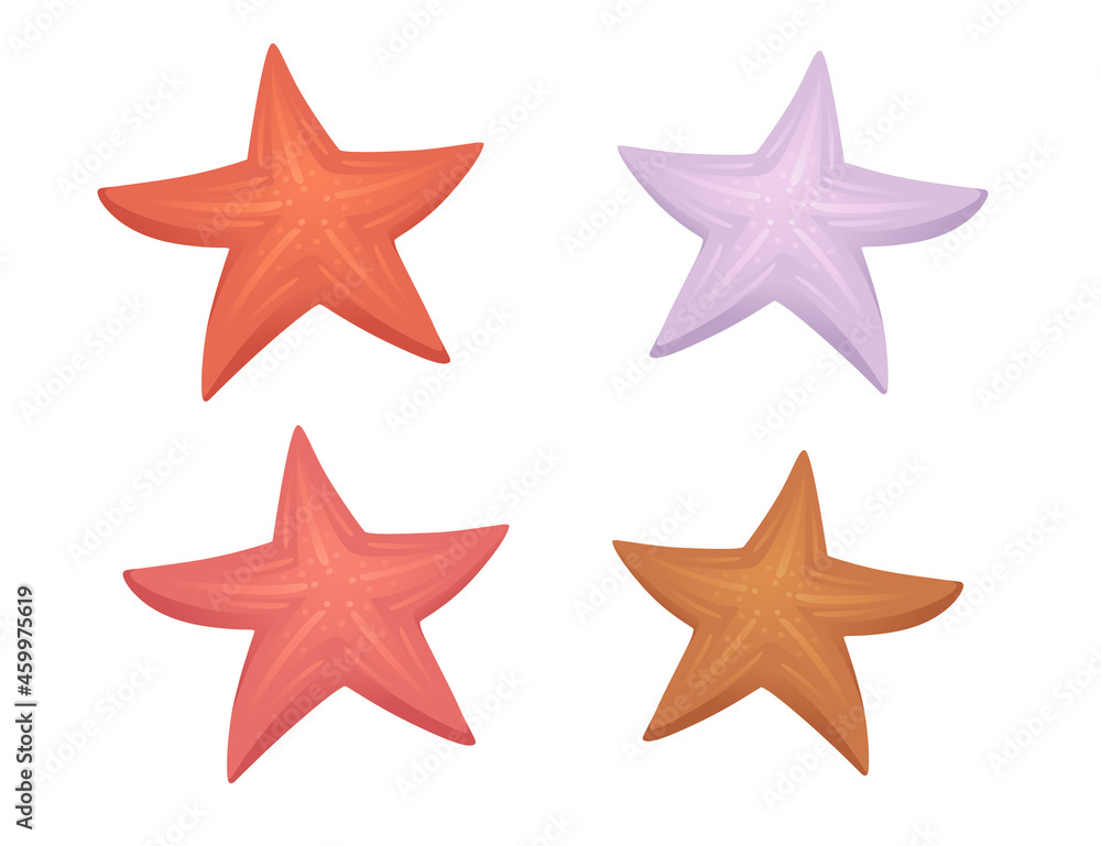 Set of four starfishes simple design cartoon sea animal vector illustration on white background Set of four starfishes simple design cartoon sea animal vector illustration on white background