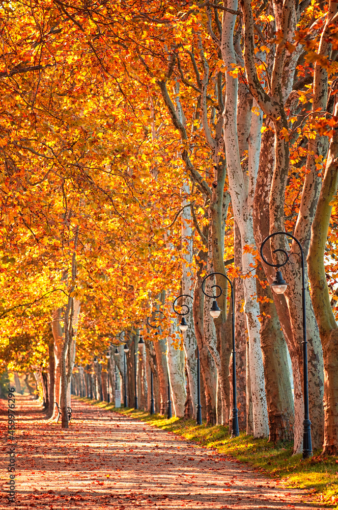 Pathway at lake Balaton in autumn