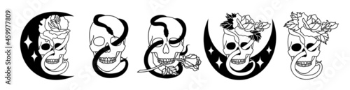 Set of skulls with a rose in a line art style.