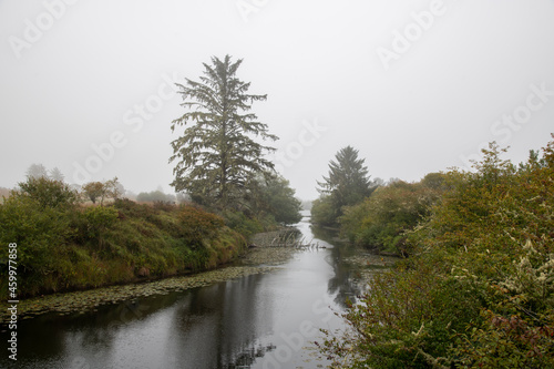 Misty Morning River Woods Landscape 