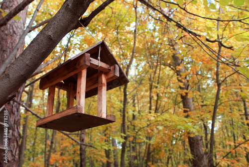 Bird feeder in the autumn forest. © Arico