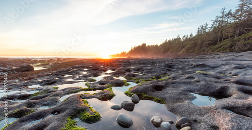 Botanical Beach on the West Coast of Pacific Ocean. Summer Sunny Sunset. Canadian Nature Landscape Background. Located in Port Renfrew near Victoria, Vancouver Island, British Columbia, Canada.