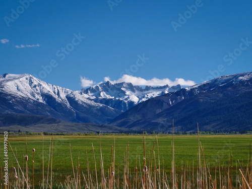 view near Bridgeport California looking towards the Sierra Nevada