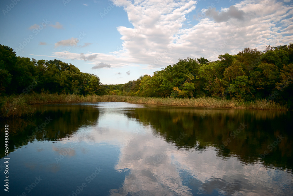 Overgrown by reed lake among lush trees with green and yellow leaves under a blue sky with clouds