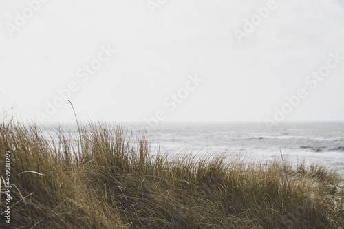Fototapeta Naklejka Na Ścianę i Meble -  View over the dunes to the North Sea