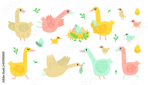 Vector doodle geese. Illustration with farm birds