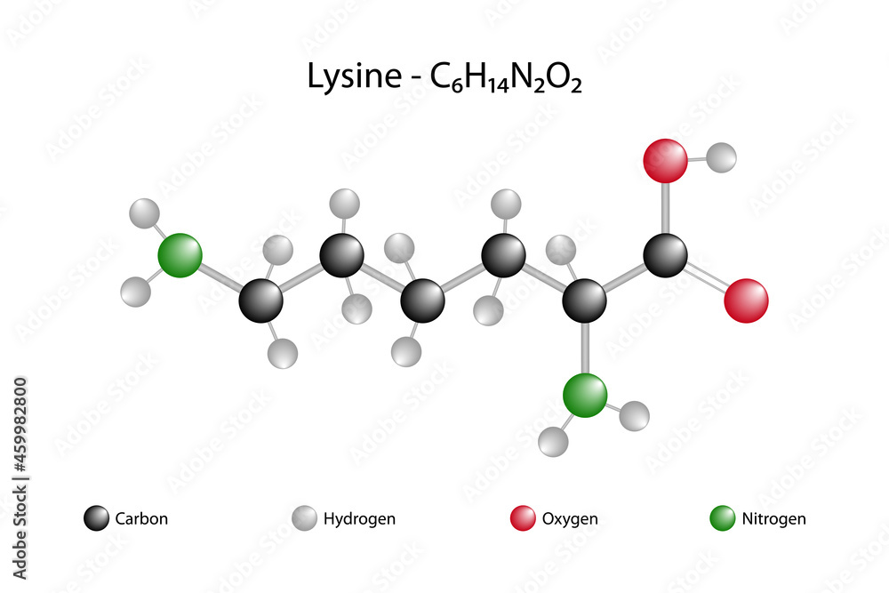 Molecular formula of lysine. Lysine is one of the 22 amino acids found in proteins.