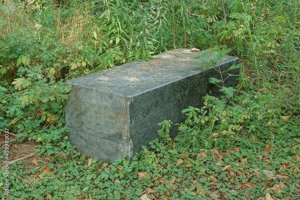 Fototapeta premium one black gray dirty big granite block lies in green grass outside