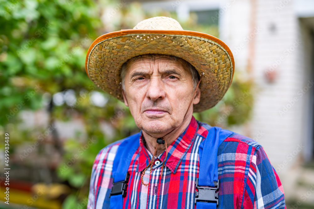 Portrait of the caucasian senior man farmer looking at the camera while working in organic apple orchard with happiness. Elderly male farm owner harvesting ripe apple in garden