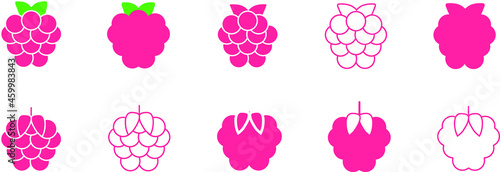 Raspberry icons malina lines vector