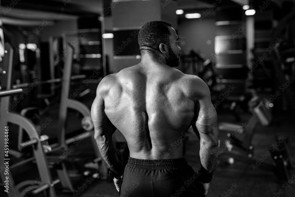 Fit young man doing workout at a gym. Sport, fitness, weightlifting, bodybuilding, training, athlete, workout exercises concept. View from the back