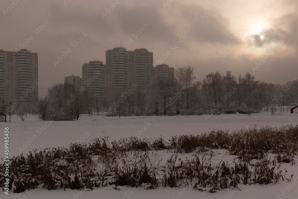 Fototapeta premium Wilted plants and a frozen reservoir against a moscow cityscape in winter evening