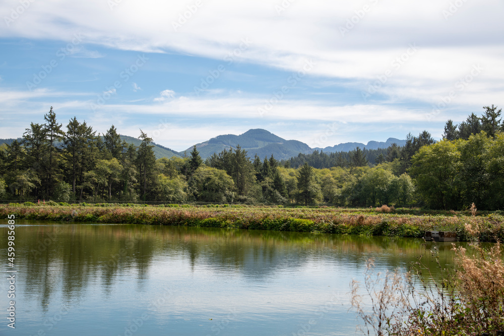 mountain landscape with grass and lake