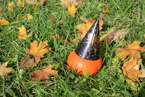 Wallpaper Mural Bright orange pumpkin in a black paper cap. In the grass among the fallen leaves. Autumn series, halloween time. Torontodigital.ca
