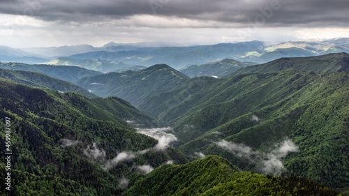 Foto Primeval forest of Fagaras mountains national park in Romania