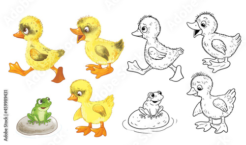 Cute farm animals. Cute ducklings. Coloring page. Coloring book. Cute and funny cartoon characters isolated on white background
