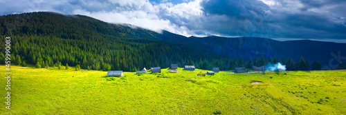 Polonyna Tatul in the Carpathians - pasture of sheep and cows © panaramka