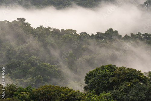 Moody landscape looking over the tropical rainforest of Trinidad and Tobago with misty clouds.