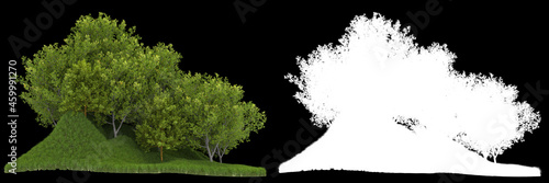 Forest isolated on background with mask. 3d rendering - illustration