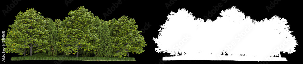Obraz Forest isolated on background with mask. 3d rendering - illustration