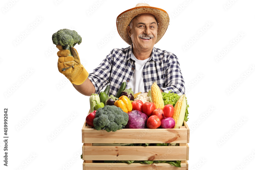 Smiling mature farmer holding broccoli and standing behind a crate with fresh organic vegetables Smiling mature farmer holding broccoli and standing behind a crate with fresh organic vegetables