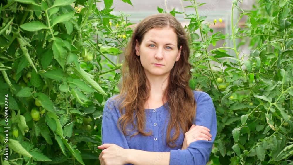 A woman farmer stands in a tomato greenhouse and looks into the camera. Woman farmer standing farmland serious Female agronomist specialist farming agribusiness caucasian worker agricultural field. A woman farmer stands in a tomato greenhouse and looks into the camera. Woman farmer standing farmland serious Female agronomist specialist farming agribusiness caucasian worker agricultural field.