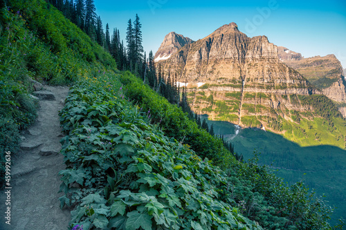 Scenic Highline Trail Views of Glacier Valley by the Going-to-the-Sun Road, Glacier National Park, Montana photo