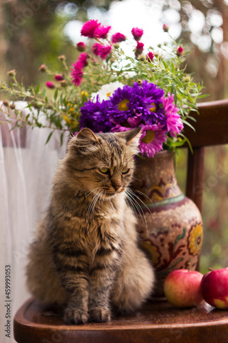 A fluffy cat sits on a wooden stele next to flowers and blocks. Autumn concept
