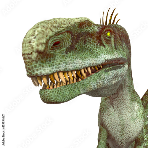 monolophosaurus id profile picture